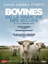 Bovines ou la vraie vie des vaches Bovines ou la vraie vie des vaches