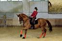 Sport de filles