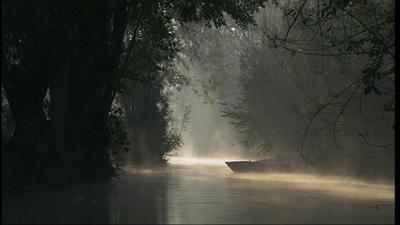 Les Marais criminels