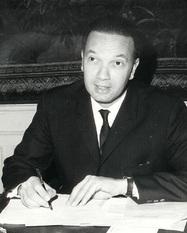 Georges Aminel