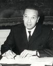 Georges Aminel