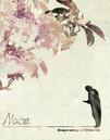 Noce
