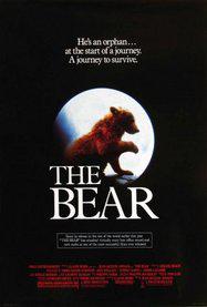 The Bear - Poster Etats-Unis