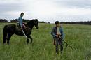Horse Thieves - &copy; St&eacute;phane Puopolo