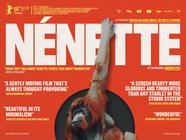 N&eacute;nette - Affiche UK