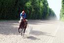 Lads et jockeys