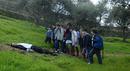 L'Etrange affaire Ang&eacute;lica