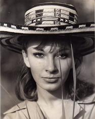 Dany Saval