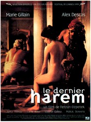 Harem Suare Harem Suare