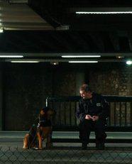 Man's Best Friend Man's Best Friend