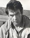 Robin Renucci