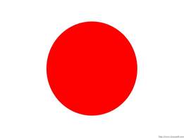 Market study: Japan 2011
