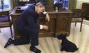 Being W - Dans la peau de George Bush
