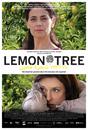 Les Citronniers - Poster - USA