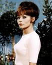 Pascale Petit