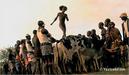 Africa le sang et la beaut&eacute;