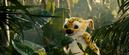 Sur la piste du Marsupilami - &copy; 
 Chez Wam &ndash; Nicolas Guiraud