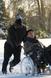 Omar Sy - The Intouchables