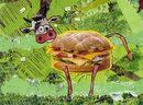 Burger Burp's and the Happy Farmer Burger Burp's and the Happy Farmer