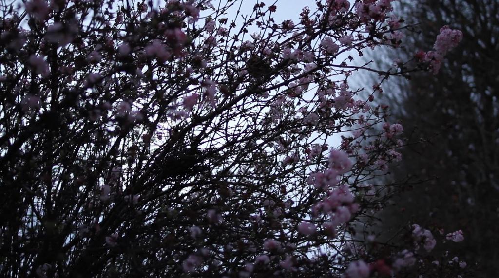 French Film Festival in Yokohama - 2012 French Film Festival in Yokohama - 2012