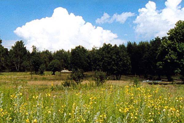 Semaine de la Critique - Venise - 2005 Semaine de la Critique - Venise - 2005