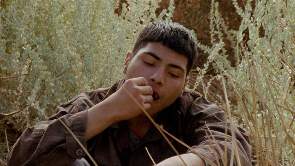 New Directors New Films - 2024