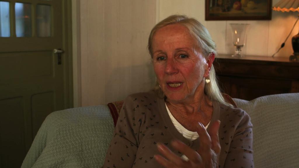 Une aventure théâtrale, 30 ans de décentralisation - Hélène Vincent Une aventure théâtrale, 30 ans de décentralisation - Hélène Vincent