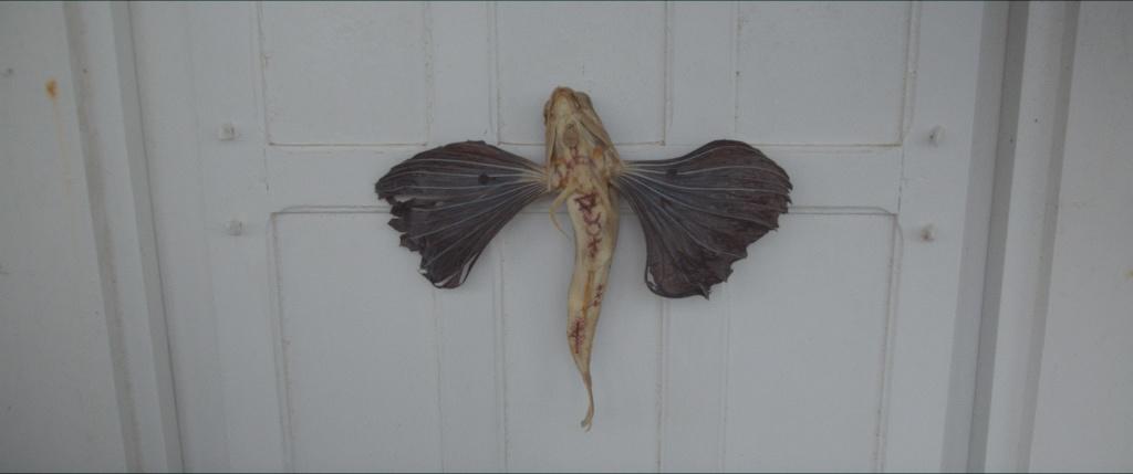 All That Roams Below All That Roams Below