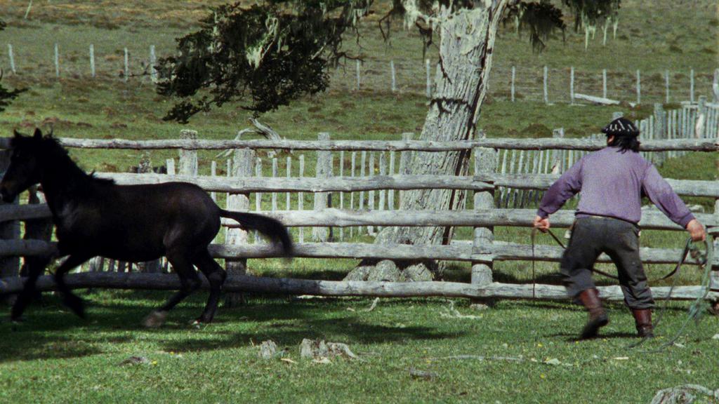 ACID - Cannes - 2012