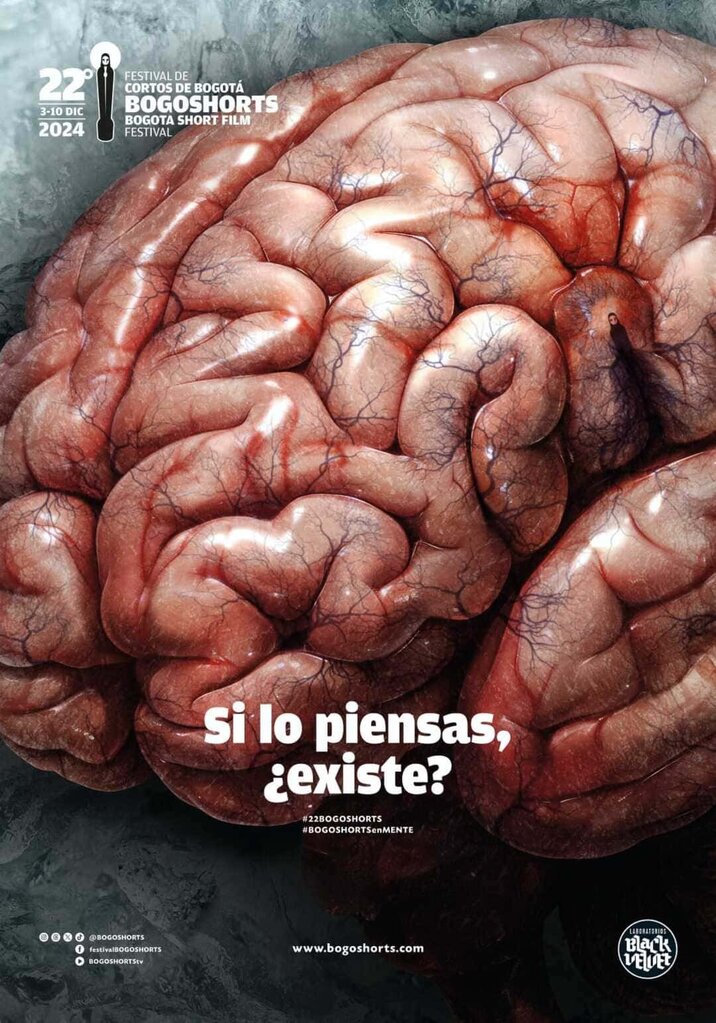 Bogoshorts - 2024 Bogoshorts - 2024