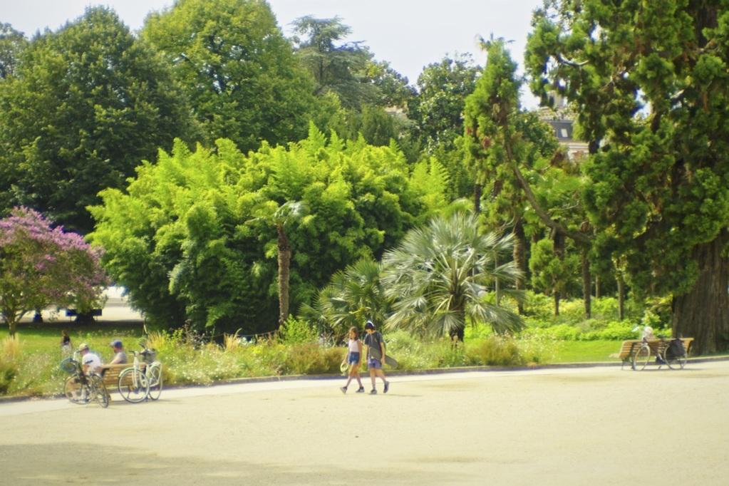 Chronicles of My Crew Chronicles of My Crew