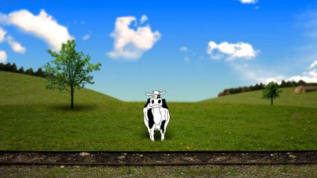 French Spring Festival in Ukraine - 2013