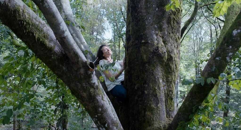 The Big Green The Big Green