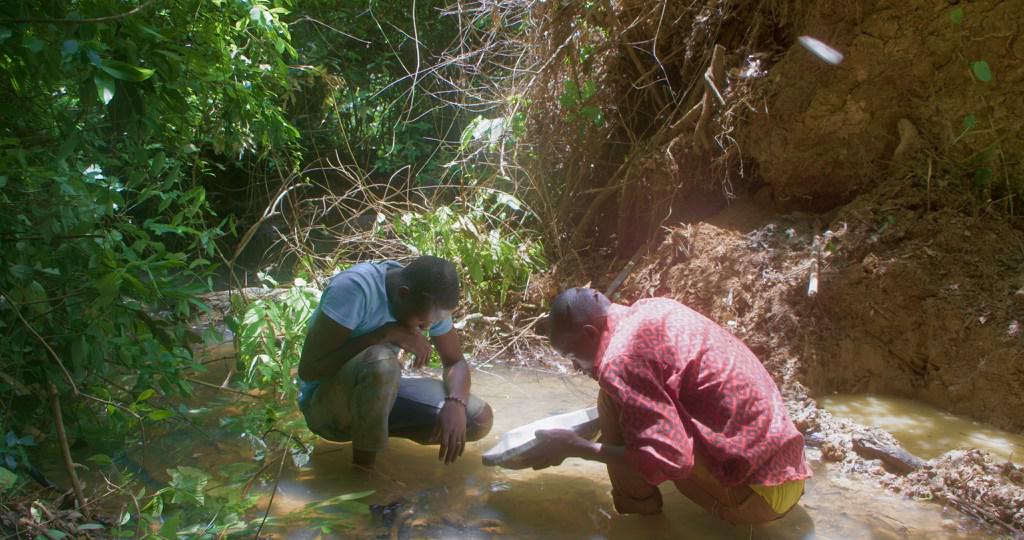 Tinselwood, une forêt Tinselwood, une forêt