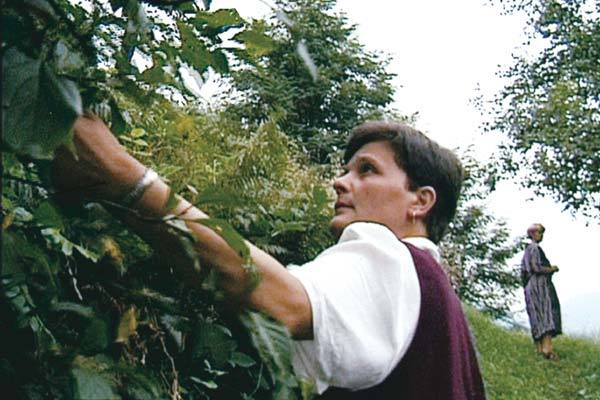 Melbourne International Film Festival - 2003