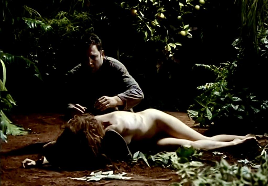 La Serre de glace La Serre de glace