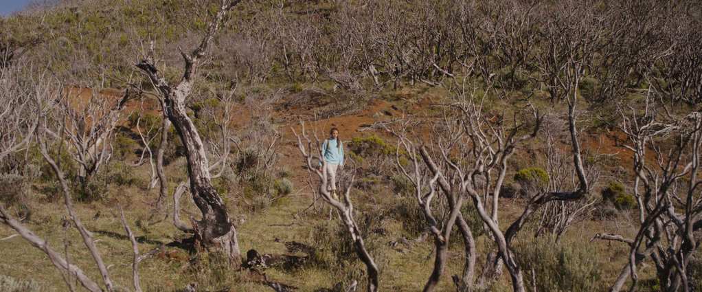 Jean-Baptiste Sanson