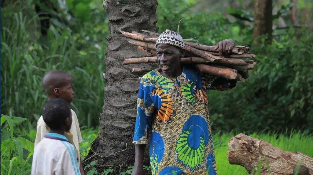 Un arbre vaut plus que son bois Un arbre vaut plus que son bois