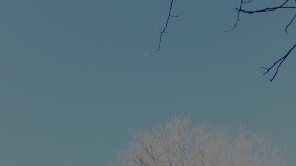 Under the Leaves 1 Under the Leaves 1