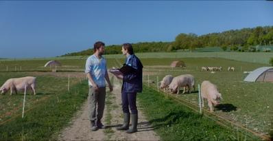 Magnetic Harvest - © Apaches Films Magnetic Harvest - © Apaches Films