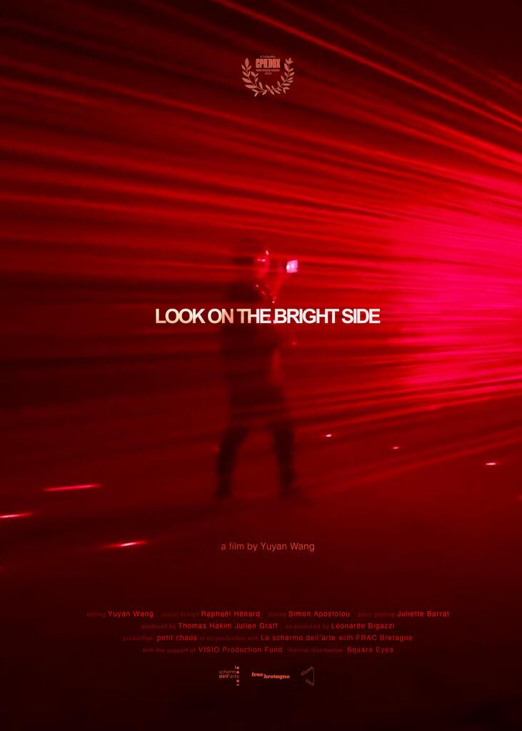 Lo schermo dell'arte Lo schermo dell'arte