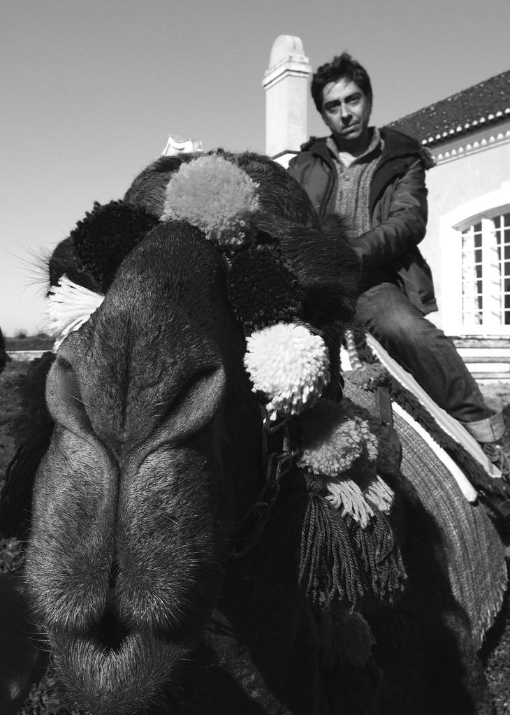 Las mil y una noches: vol.1, el inquieto Las mil y una noches: vol.1, el inquieto