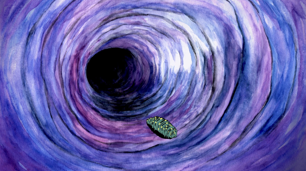 My Teenage Blackout My Teenage Blackout