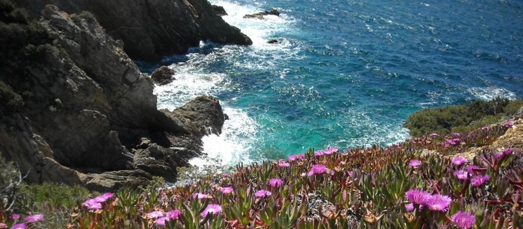 Here the Mistral Blows Hard Here the Mistral Blows Hard