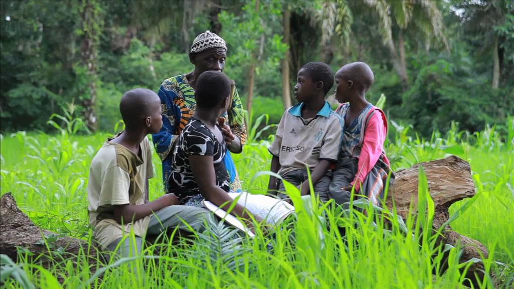 Un arbre vaut plus que son bois Un arbre vaut plus que son bois