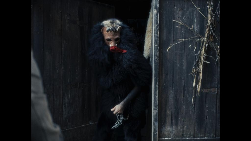 Dans la gueule de l'ours Dans la gueule de l'ours