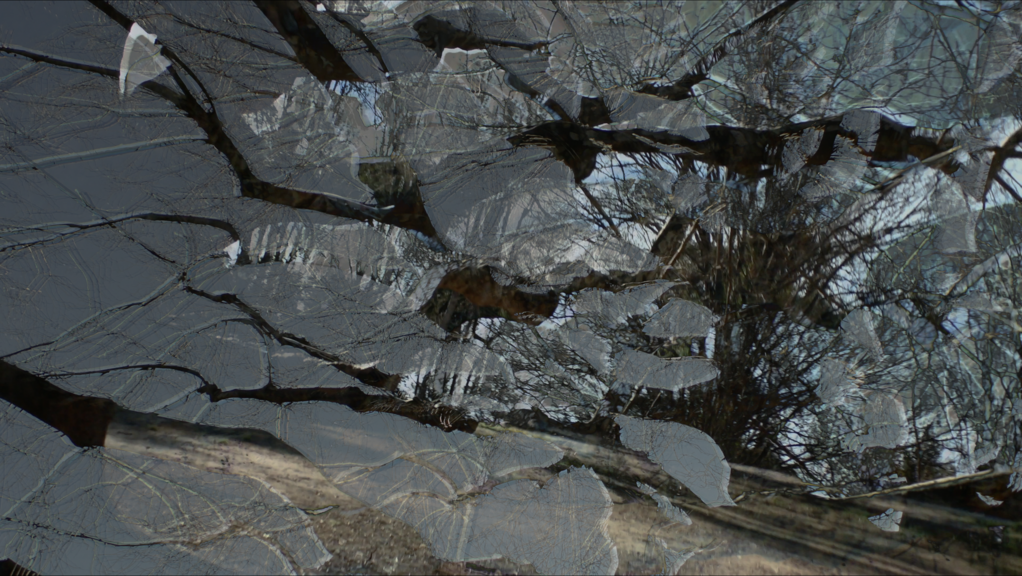 Sous les feuilles 1 Sous les feuilles 1