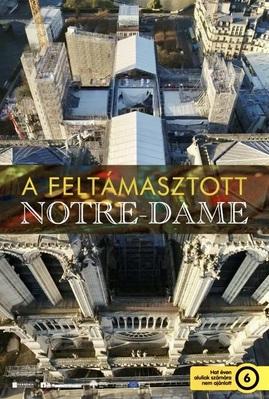 Notre Dame Resurrection - Hungary