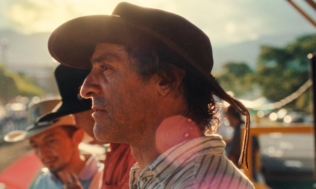 All-Inclusive All-Inclusive