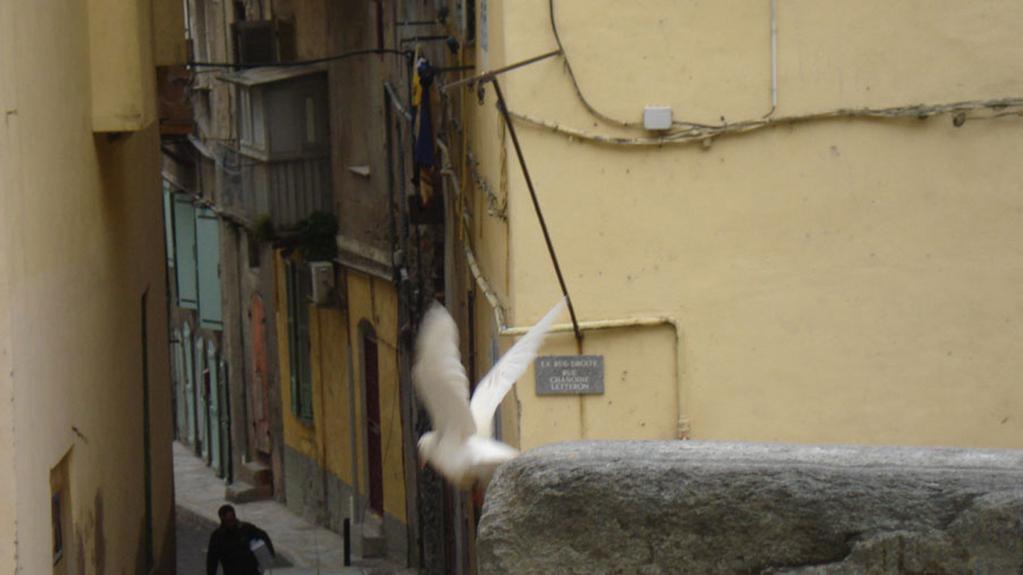 Acqua in Bocca Acqua in Bocca